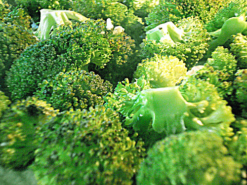 Brócoli. Foto Flickr